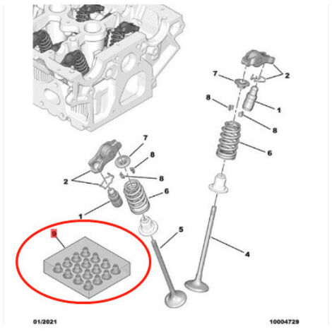 Joint d'huile de soupape 1640098880, compatible avec Peugeot 3008, 4008, 408, Citroën C5, C6 et C4L, en caoutchouc fluoré, empêche l'huile moteur de pénétrer dans la chambre de combustion et réduit la (1/4)