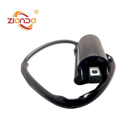 Transformateur haute tension pour moto adapté au véhicule tout-terrain Honda Rincon 680 TRX680FA 30500-MBG-003, la sortie de la bobine d'allumage haute tension est puissante. (1/5)