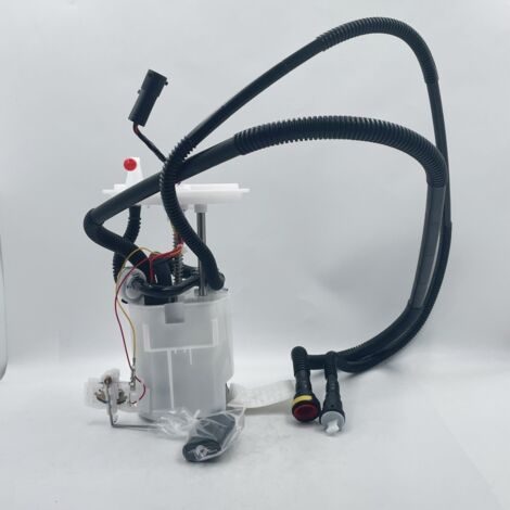Modèle : C2C20262 Ensemble pompe à carburant Jaguar X-Type/S-Type E8577M, compatible avec les moteurs V6 2,5 L/3,0 L, assurant une alimentation précise en carburant pour le gentleman britannique.