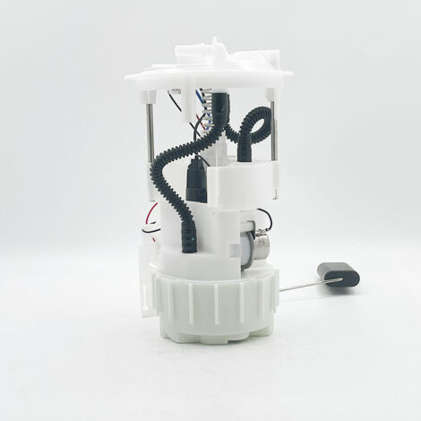 Modèle : 8200288808 Pompe à carburant Renault Scenic/Megana avec injecteurs de carburant allongés pour toit ouvrant panoramique 2.0L F4R/1.9L dCi (1/4)