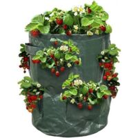 Sac à fraisiers Sac de Plantation pour Fraises Vert