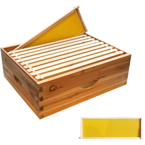 Kit Ruche 10 Cadres en Bois Cèdre – Imprégné Cire d'Abeille Naturelle, Protection Résistante aux Intempéries, Ruche D'abeilles