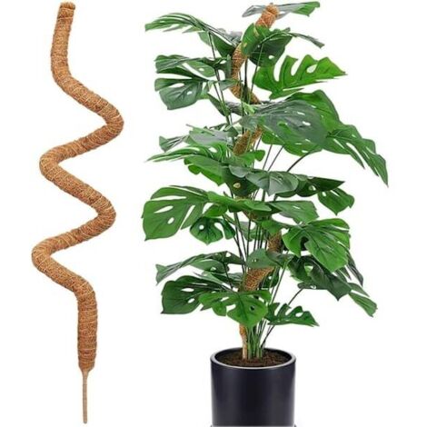 Moosstütze für Pflanzen, 120 cm, biegsamer Moosstab für Kletterpflanzen wie Monstera und Efeu, 1 Stück