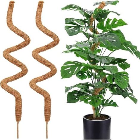 Moosstütze für Pflanzen, 120 cm, biegsamer Moosstab für Kletterpflanzen wie Monstera und Efeu, 2er-Pack