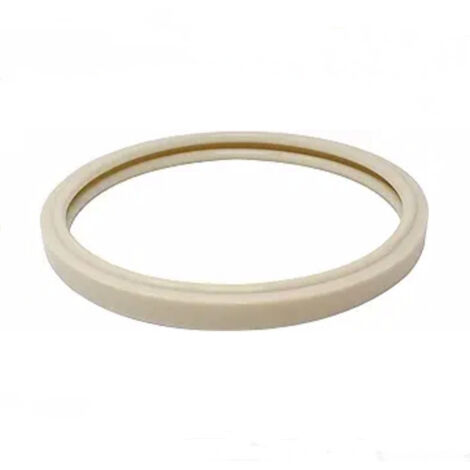 Joint de Lentille d'Éclairage de Piscine 79101600Z – Compatible Pentair IntelliBrite, Amerlite (1/4)