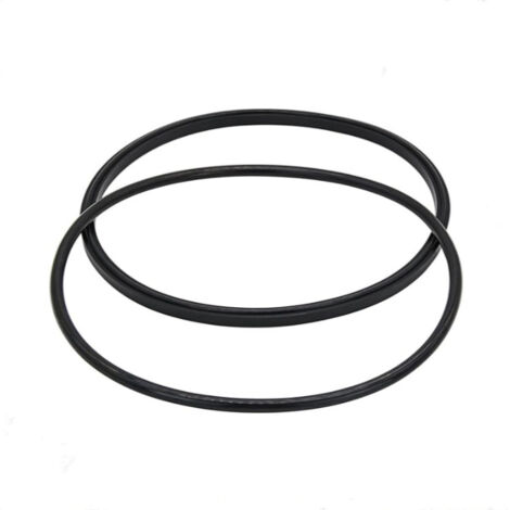 Kit de Joint de Couvercle R0446200 – Compatible avec les Pompes Zodiac, Jandy JEP – Joint Torique Inclus (1/5)