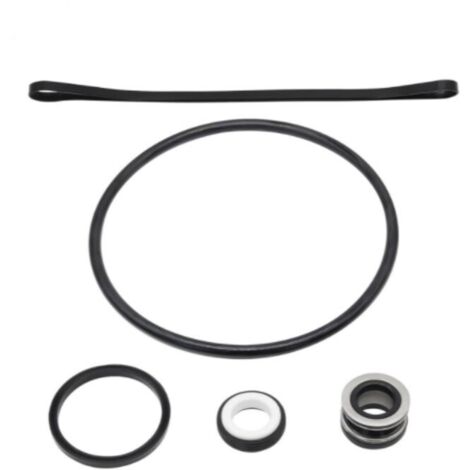 Kit de Réparation de Joint Torique SP3000X pour Pompe Hayward – Inclut Ensemble de Joint d'Arbre SPX1600Z2 PS-20 – Rénovation Complète (1/5)