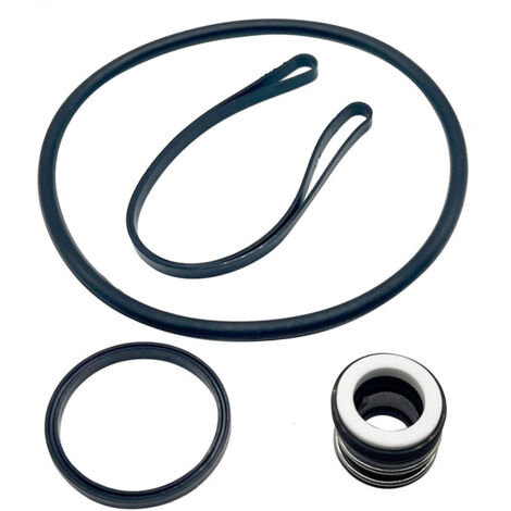 Kit de Réparation pour Pompe Hayward SP3000X – Ensemble de Joints d’Arbre SPX1600Z2 PS-201