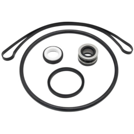 Kit de Réparation de Joints MEFONKOU pour Pompe de Piscine Série SP3000X – Inclut Joint d'Arbre SPX1600 – Étanchéité Garantie