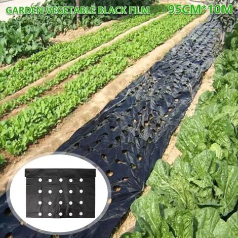 Film de paillage perforé noir – 0,95 x 10 m – Anti-mauvaises herbes – Pour agriculture (1/5)