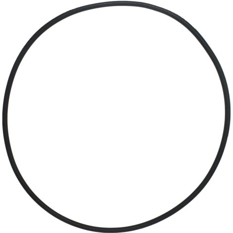 Collier de Serrage et Joint d’Étanchéité Pentair 39010200 – pour Filtres CCP 520/420/320 (1/4)