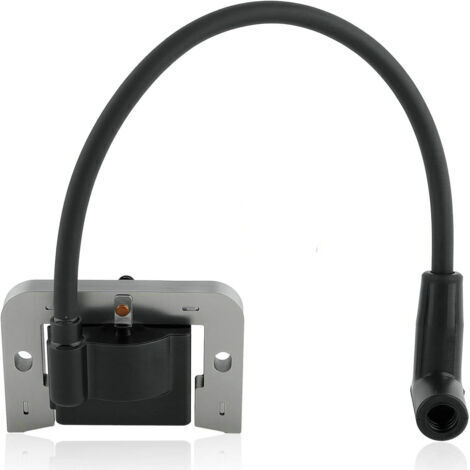 Bobine d'Allumage Haute Tension Universelle - Compatible Références 397358, 298316, 395491, 697037 (1/2)