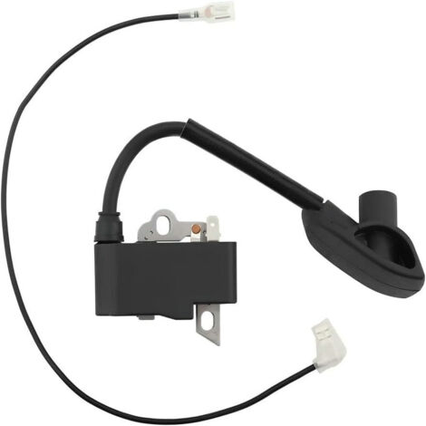 Bobine d'Allumage 36344 / 36344A / 37137 - Compatible Moteurs Briggs & Stratton - Pour Tondeuse et Tracteur (1/3)