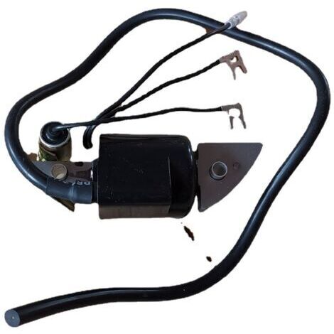 Bobines d'allumage G150, G200, G300, G400 et transformateurs d'allumage haute tension (1/3)