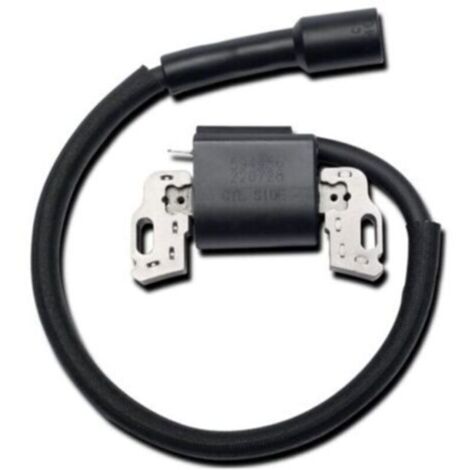 594626 594456 795315 592841 Bobine d'Allumage, Pièces de Générateur pour Générateur à Essence , bobine allumage pour Moteur de Tondeuse à Gazon (1/5)