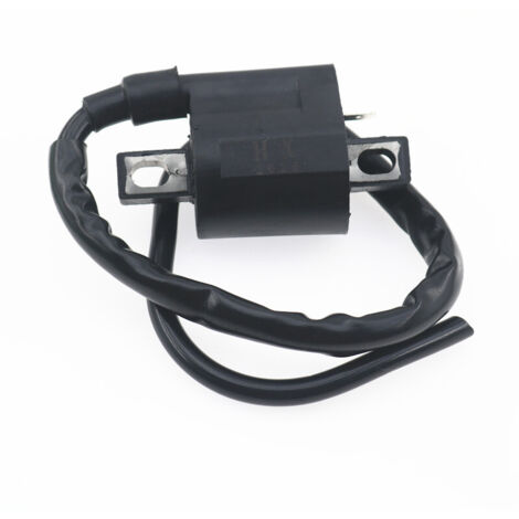 Bobine d'allumage verticale haute tension pour quad, karting de plage et moto tout-terrain CG125, 150, 200 et 250 cm³ (1/5)