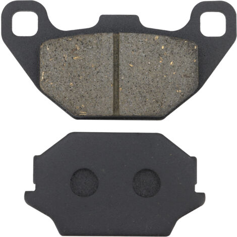 Les plaquettes de frein Warrior sont durables et conviennent aux motos, aux VTT et aux UTV. (1/5)