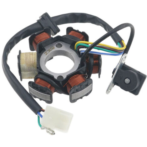 Convient aux motos à cadre tubulaire, stator magnétique Dayang DY100, bobine Taiteng 110 C100, demi-onde à 6 pôles. (1/5)