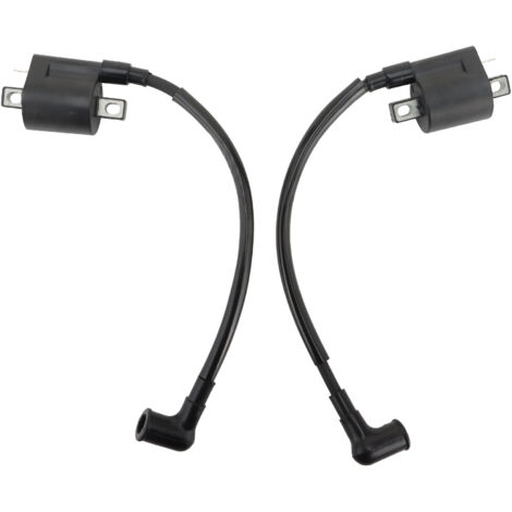 Bobine d'allumage compatible avec les moteurs hors-bord Mercury (4 et 5 CV) 16064A1 369-06050-2 (1/5)