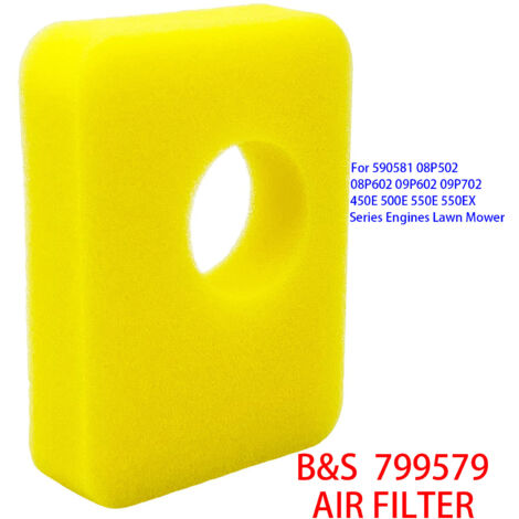 Éponge de filtre à air Briggs 799579 pour filtres à air des séries 450E, 500E, 550E et 550EX (1/5)