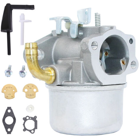 Compatible with carburateur pour Briggs & Stratton 798653 697354 790290 791077 698860 Avec accessoires (1/4)