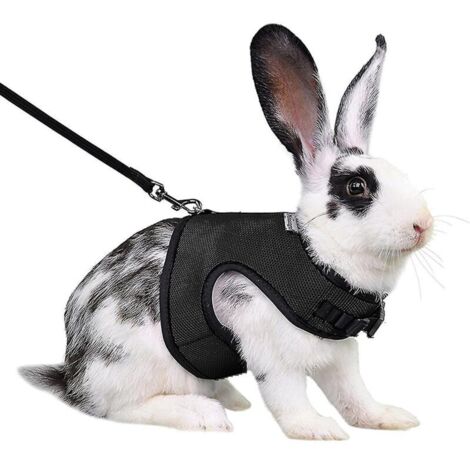 Harnais pour lapin, furet, rat et hamster, confortable et réglable, avec laisse et harnais en maille douce, accessoires pour animaux de compagnie - Taille S - Noir (1/3)