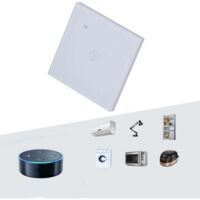 2.4GHz Smart WiFi Switch pour Tuya Remote Control Timer Switch for Water Heater Pump AC100-240V 40A High Power--