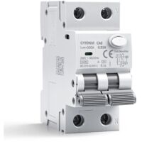 Disjoncteur différentiel 30mA 40A 1P+N Type A interrupteur différentiel RCBO 6kA MCB disjoncteurs de courant résiduel AC230V Protection contre les surcharges et les courts circuits GYR9NM