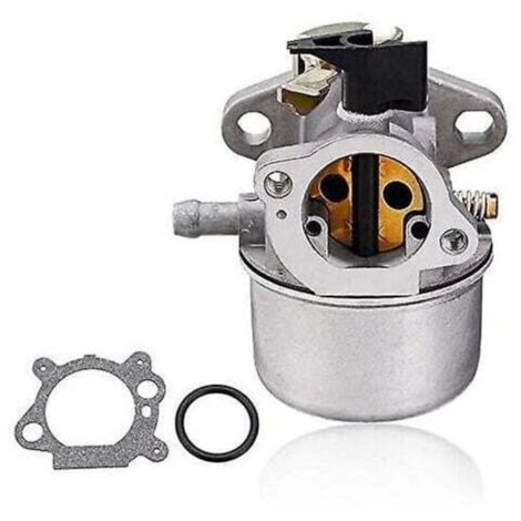 Carburateur pour tronçonneuse de machines de jardin Briggs & Stratton (1/3)