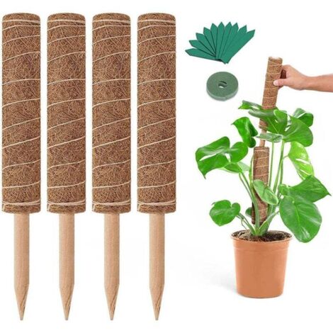 Tuteur extensible en mousse en 4 parties - Support pour plantes grimpantes Monstera et Pothos - Support de jardin 5 x 40 cm - Utilisation intérieure et extérieure (1/4)