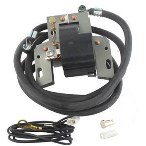 Bobine Allumage Briggs Et Stratton (392329, 394891)
