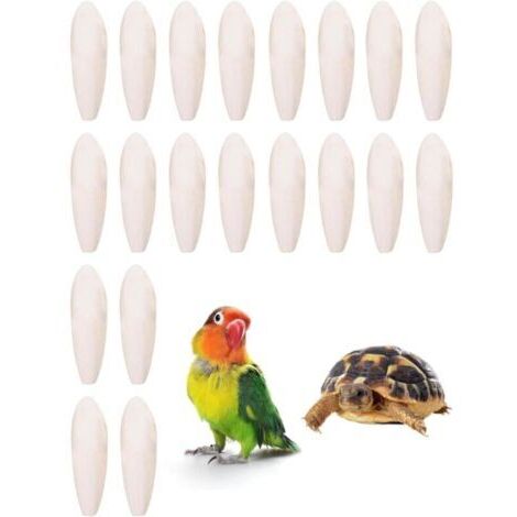 Lot de 20pcs de Seiche 45 cm pour Oiseaux, Tortues, Reptiles - Jouets à Mâcher Naturels pour Perroquets, Calmars et Animaux de Compagnie