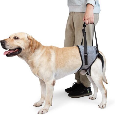 Harnais de Levage pour Chien – Harnais de Soutien pour Pattes arrière – Écharpe de Soutien Souple pour Chiens de Petite, Moyenne et Grande Taille blessée (XL, Gris)