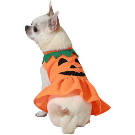 Costume per Cane Zucca Taglia M (1/4)
