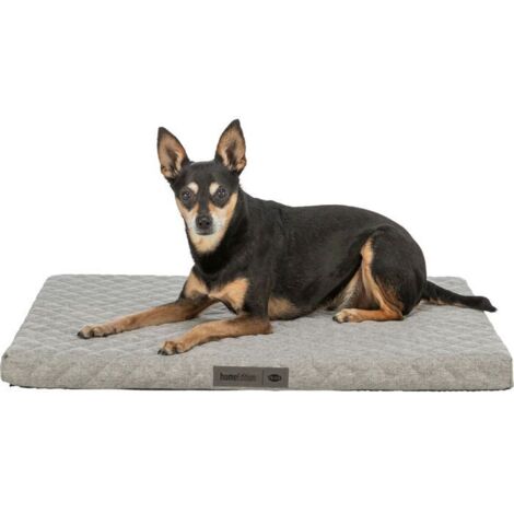 Coussin Orthopédique Vital Noah gris