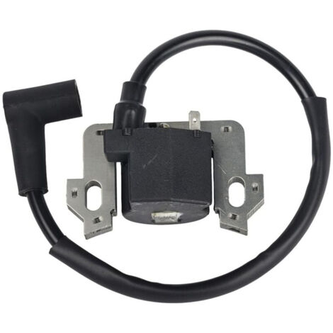 Module de Bobine D'allumage Compatible avec Honda GCV135 GCV160 GCV190 GSV160, Bobine Allumage, Bobine de Rechange Compatible (1/5)