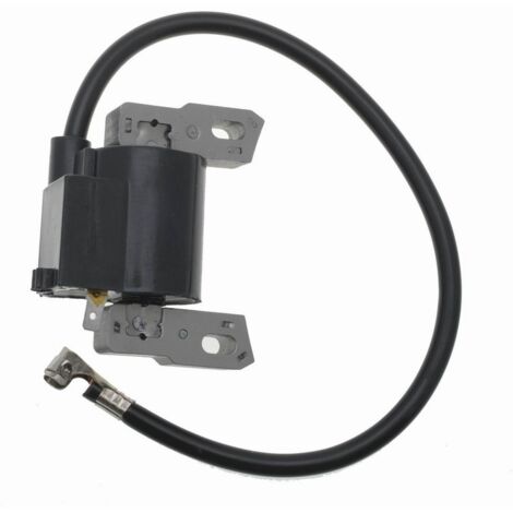 Bobine d'allumage haute tension et allumeur pour Ignition B&S 794854 796964 695711 compatible.