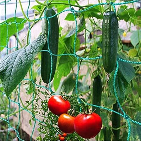 Filet à Ramer avec Maillage Large pour Une récolte particulière Bonne de concombres, tomates et Autres légumes et Plantes grimpantes – Dimensions : 1.82.7m