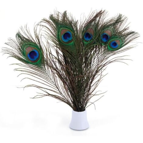 Promotion, Véritables plumes de paon social, 25-30 cm, superbe décoration pour mariage, Noël, Halloween, maison (20 pièces bien sûr), (1/5)