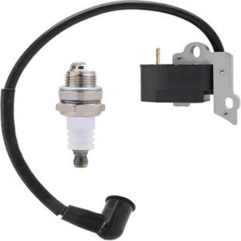 S-giant Bobine d'allumage compatible avec 530039238 PP3816 PPB4018 PP4218 (1/5)