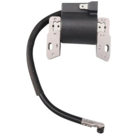 S-giant Bobine d'Allumage Haute Tension Compatible avec Références 591420, 395489, 398593, 397316, 496914 (1/5)
