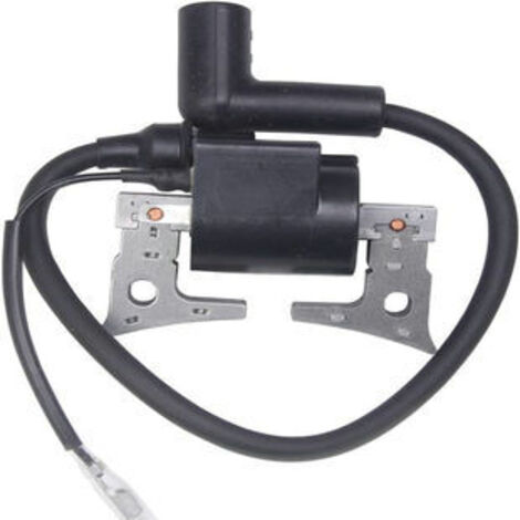 S-giant Bobine d'allumage haute tension compatible avec EH12, EH12-2, 269-79430-01