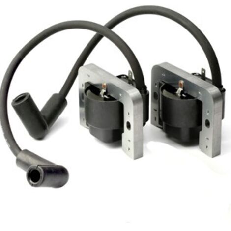 S-giant Kit de 2 Bobines d'Allumage Compatible avec 25 584 15-S, 25584105-S, 25 584 105-S (1/4)