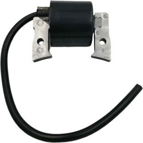 S-giant Bobine d'Allumage Haute Tension Compatible avec 21121-2008, FC400V, FC420V, AM101065 (1/5)