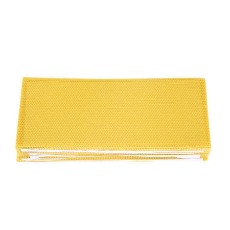 30PCS Fondations de ruche en cire d'abeille, filtres à miel pour apiculteurs
