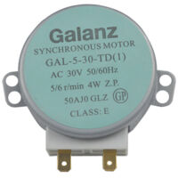 Moteur synchrone de tourne-disque GAL-5-30-TD 30 V 4 W pour accessoires de micro-ondes Galan.z