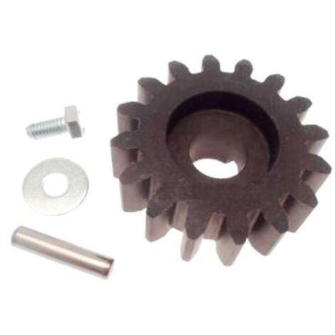 Came – Pignon BZ pour motorisation de portail – Compatible BXBX-243V et BX-243BZ – Pièce détachée de qualité – 119RIBZ005