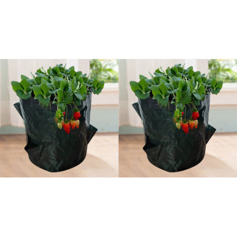 Sacs de Culture pour Fraise, 2PCS 18L/5 Gallons Sac de Legumes, Tissu Non-tissé Sac de Plantation avec Fenêtre, Sac de Legumes de Jardin (23X28CM (4 ports)) (1/5)