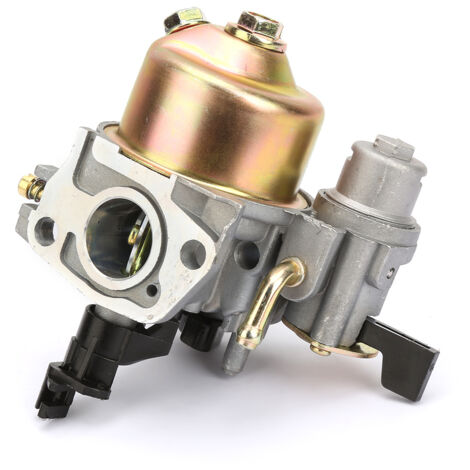 Carburateur compatible avec 168F 170F pompe à eau mini motoculteur (1/5)