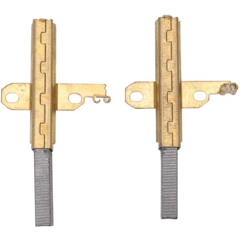 Lot de 2 charbons moteur en laiton de remplacement compatibles avec aspirateur électrique (1/4)